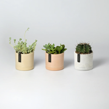 Load image into Gallery viewer, 3.5" Earth Tone Mini Planters | 10 Colorways: Arctic Stone