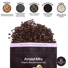 Load image into Gallery viewer, 4qt Organic Aroid Mix for Indoor Plants