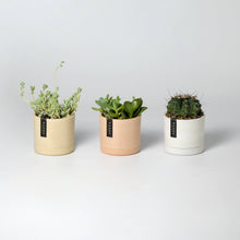 Load image into Gallery viewer, 3.5" Earth Tone Mini Planters | Black