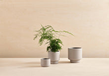 Load image into Gallery viewer, BOTANY porcelain plant pot MEDIUM: Graphite Black
