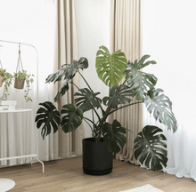 Load image into Gallery viewer, 12" Black Kuro Planter & Saucer