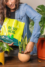 Load image into Gallery viewer, 2qt Plant Food