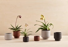 Load image into Gallery viewer, BOTANY porcelain plant pot LARGE: Graphite Black