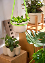 Load image into Gallery viewer, Hanging Rope + Wall Mount: Neon