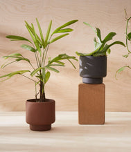 Load image into Gallery viewer, BOTANY porcelain plant pot MEDIUM: Dark Terracotta