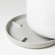 Load image into Gallery viewer, 9” Signature Stone Planter & Saucer