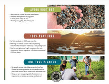 Load image into Gallery viewer, Amendments (2Qt) Calcined Clay: 2 Quarts