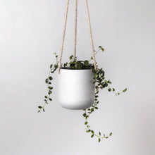 Load image into Gallery viewer, 4" Signature Stone Hanging Planter Pot: Black
