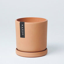 Load image into Gallery viewer, 7" Mustard Seed & Dusted Clay Planters & Saucers : Mustard Seed / 7" Only