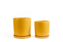 Load image into Gallery viewer, 12.5" Cylinder Pots w/ Water Saucers: