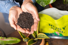 Load image into Gallery viewer, 2qt Plant Food