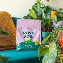 Load image into Gallery viewer, 4qt Organic seedling and propagation mix