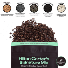 Load image into Gallery viewer, 4qt Hilton Carter's Signature Potting Mix