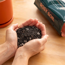 Load image into Gallery viewer, 4qt Organic Cactus & Succulent Mix