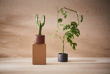 Load image into Gallery viewer, BOTANY porcelain Plant Pot SMALL: Graphite Black