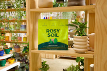 Load image into Gallery viewer, 2qt Plant Food