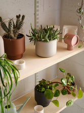 Load image into Gallery viewer, BOTANY porcelain plant pot MEDIUM: Graphite Black