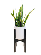 Load image into Gallery viewer, Plant Stand - Mid Level - Adjustable - Black Bamboo