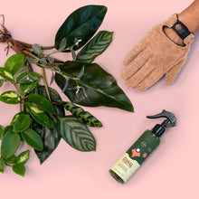 Load image into Gallery viewer, Microfiber Leaf Cleaning Gloves - Pink