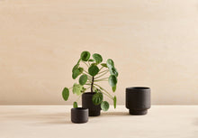 Load image into Gallery viewer, BOTANY porcelain plant pot LARGE: Graphite Black