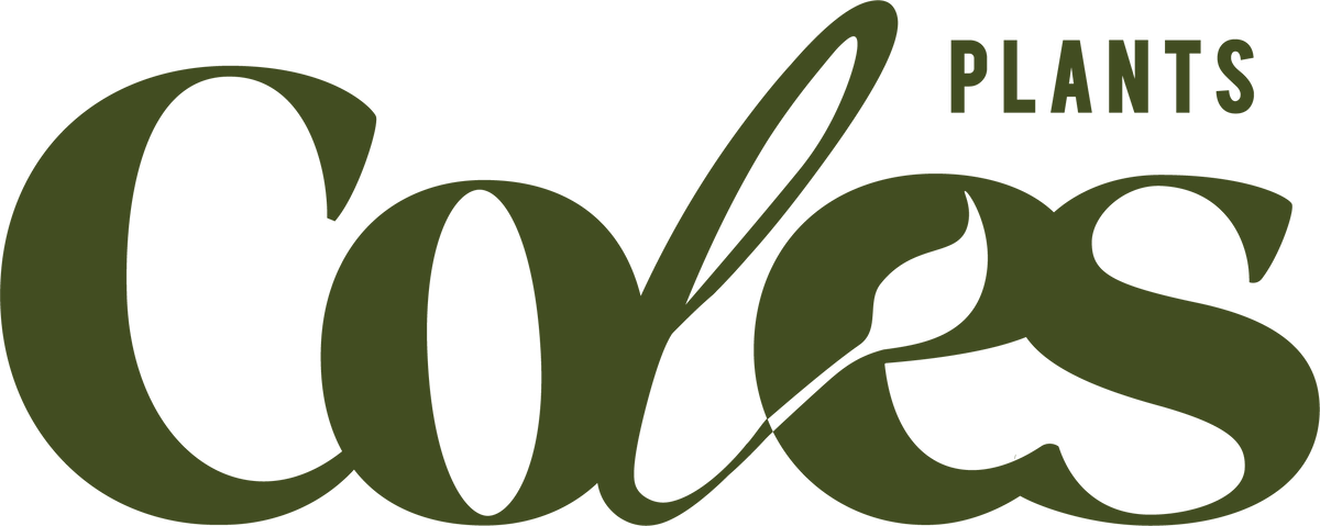Coles Plants cover