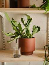 Load image into Gallery viewer, BOTANY porcelain plant pot MEDIUM: Graphite Black