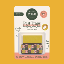 Load image into Gallery viewer, Compostable Gnat Traps