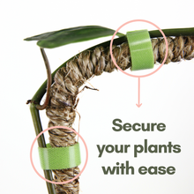 Load image into Gallery viewer, Reusable Plant Tape Pull Up & Support Indoor & Outdoor Plant: 30 Feet
