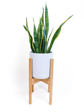 Load image into Gallery viewer, Plant Stand - Mid Level - Adjustable - Natural Bamboo
