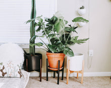 Load image into Gallery viewer, Plant Stand - Mid Level - Adjustable - Black Bamboo