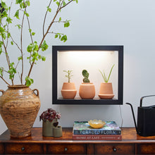 Load image into Gallery viewer, Terracotta Grow Kits: Cactus