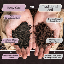 Load image into Gallery viewer, 4qt Organic Aroid Mix for Indoor Plants