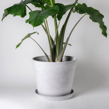 Load image into Gallery viewer, Tapered Signature Planter Pot Black
