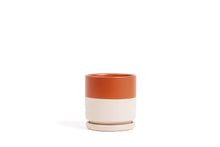 Load image into Gallery viewer, 4.5&quot; Limited Release Cylinder Pots with Water Saucers: Rose Gold
