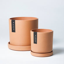 Load image into Gallery viewer, 7" Mustard Seed &amp; Dusted Clay Planters &amp; Saucers : Mustard Seed / 7" Only

