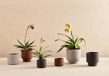 Load image into Gallery viewer, BOTANY porcelain plant pot MEDIUM: Graphite Black
