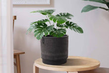 Load image into Gallery viewer, 10&quot; Signature Stone Self-Watering Planter: 10&quot; White Stone Planter &amp; Self Watering Plate
