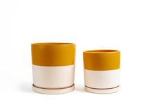 Load image into Gallery viewer, 12.5&quot; Cylinder Pots w/ Water Saucers:
