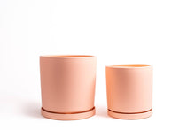 Load image into Gallery viewer, 12.5&quot; Cylinder Pots w/ Water Saucers:
