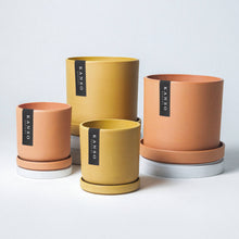 Load image into Gallery viewer, 7" Mustard Seed &amp; Dusted Clay Planters &amp; Saucers : Mustard Seed / 7" Only
