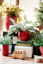 Load image into Gallery viewer, 4.25&quot; Holiday Bollé Pots w/Water Saucers - 8pc/cspk: White

