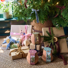 Load image into Gallery viewer, Terracotta Grow Kits: Cactus
