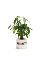Load image into Gallery viewer, PLANTS Pot | Off White
