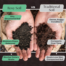 Load image into Gallery viewer, 4qt Hilton Carter's Signature Potting Mix
