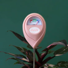 Load image into Gallery viewer, Moisture Meter | Pink *NEW COLOR*
