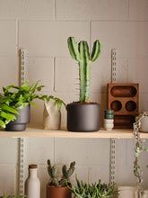 Load image into Gallery viewer, BOTANY porcelain Plant Pot SMALL: Concrete Grey
