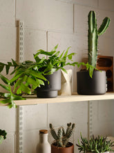 Load image into Gallery viewer, BOTANY porcelain plant pot LARGE: Concrete Grey
