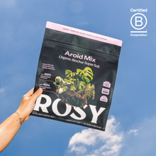 Load image into Gallery viewer, 4qt Organic Aroid Mix for Indoor Plants
