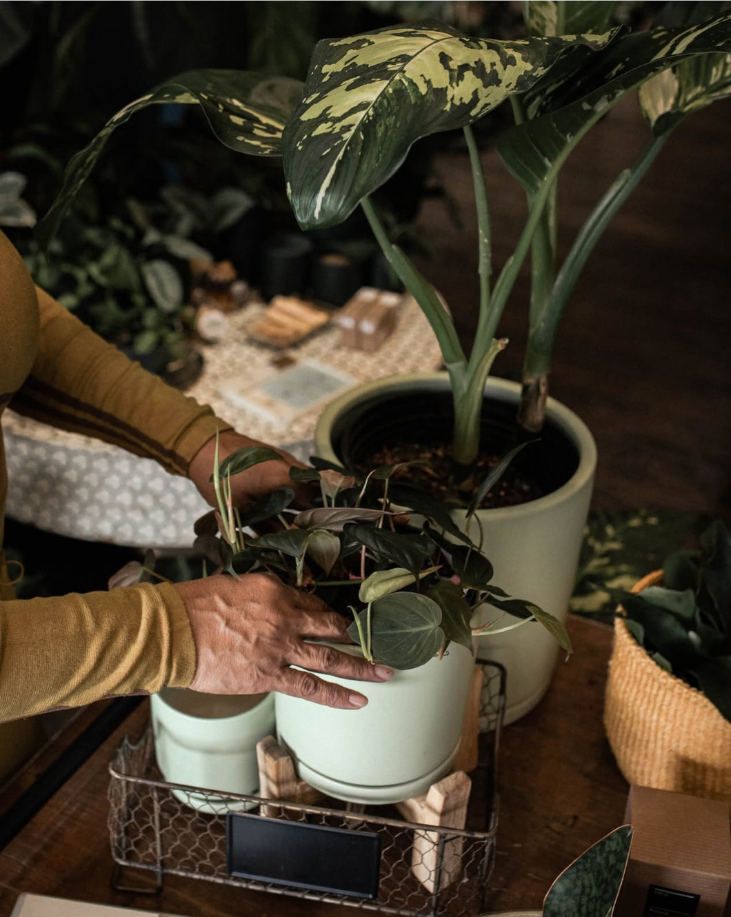 Roots to Results