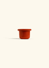 Load image into Gallery viewer, Fat Lip Planter: Fat Lip (Poppy) / Medium (6")
